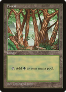 Forest (6) [Asia Pacific Land Program]