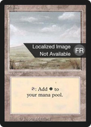 Plains (C) [Revised Edition (Foreign Black Border)]