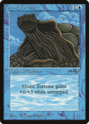 Giant Tortoise (Light Mana Cost) [Arabian Nights]