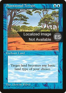 Phantasmal Terrain [Fourth Edition Foreign Black Border]