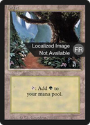 Forest (B) [Revised Edition (Foreign Black Border)]