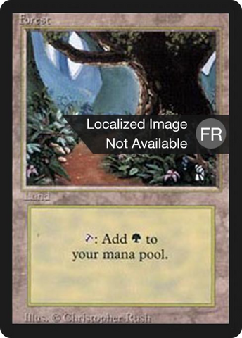 Forest (B) [Revised Edition (Foreign Black Border)]