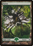 Forest (249) [Zendikar]