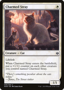 Charmed Stray [War of the Spark]