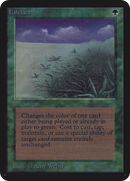 Lifelace [Limited Edition Alpha]