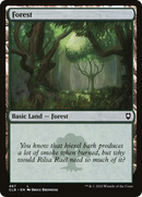 Forest (467) [Commander Legends: Battle for Baldur's Gate]