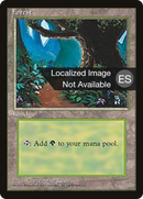 Forest (B) [Fourth Edition (Foreign Black Border)]