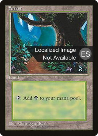 Forest (B) [Fourth Edition (Foreign Black Border)]