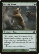 Grizzly Bears [Tenth Edition]