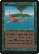 Birds of Paradise [Limited Edition Alpha]