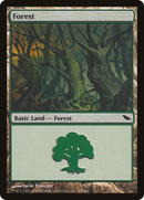Forest (301) [Shadowmoor]
