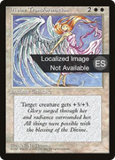 Divine Transformation [Fourth Edition Foreign Black Border]