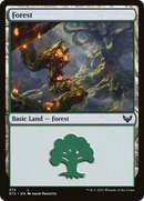 Forest (375) [Strixhaven: School of Mages]
