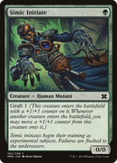 Simic Initiate [Modern Masters 2015]