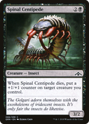 Spinal Centipede [Guilds of Ravnica]