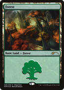 Forest (2019) [MagicFest 2019]