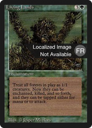 Living Lands [Foreign Black Border]