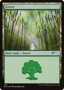 Forest (Elves) (579) [Secret Lair Drop Promos]