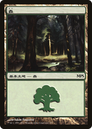 Forest - Innistrad Cycle [Magic Premiere Shop]