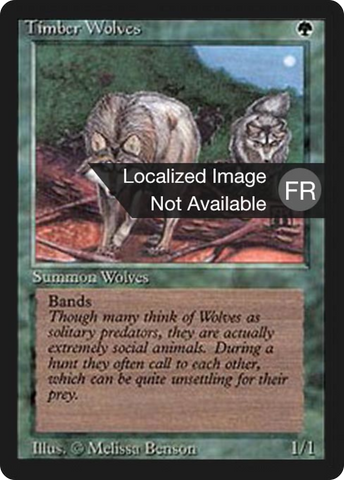Timber Wolves [Foreign Black Border]