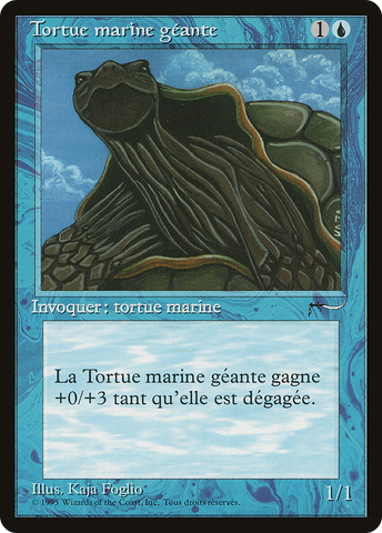 Giant Tortoise (French) - "Tortue marine geante" [Renaissance]