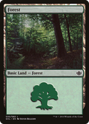 Forest (30) (Garruk vs. Liliana) [Duel Decks Anthology]