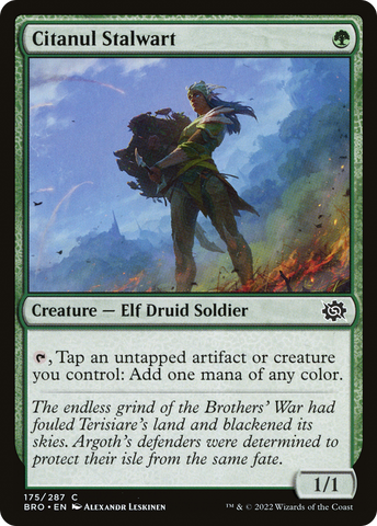 Citanul Stalwart [The Brothers' War]