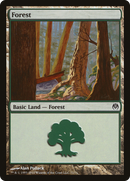 Forest (71) [Duel Decks: Phyrexia vs. the Coalition]
