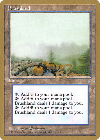 Brushland (Eric Tam) [Pro Tour Collector Set]