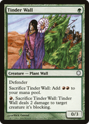 Tinder Wall [Coldsnap Theme Decks]