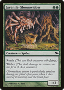Juvenile Gloomwidow [Shadowmoor]