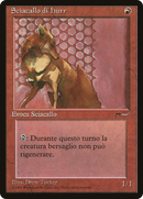 Hurr Jackal (Italian) - "Sciacallo di hurr" [Rinascimento]