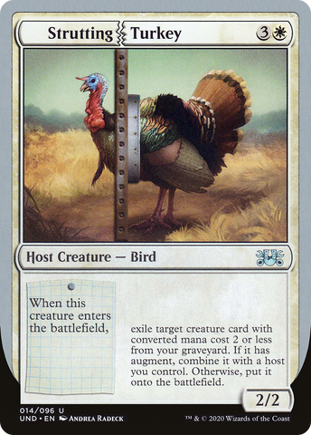 Strutting Turkey [Unsanctioned]