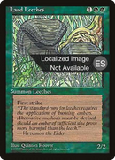 Land Leeches [Fourth Edition Foreign Black Border]