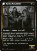 Kessig Naturalist // Lord of the Ulvenwald [Innistrad: Double Feature]