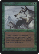 Aspect of Wolf [Limited Edition Alpha]