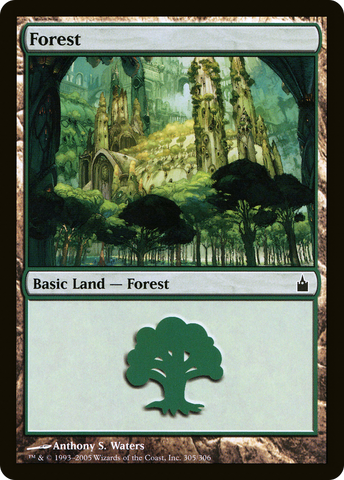 Forest (305) [Ravnica: City of Guilds]